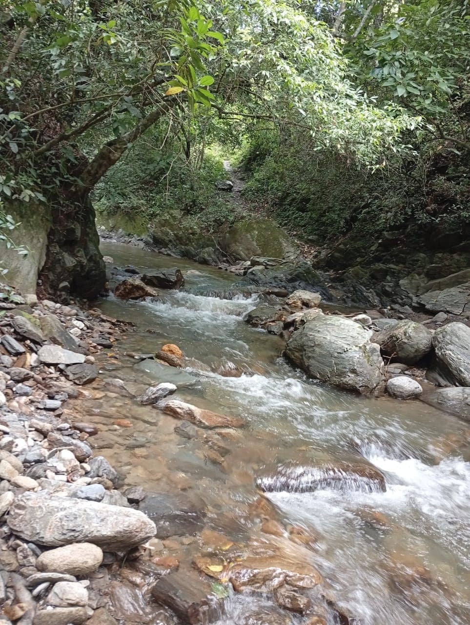 Río de Loma Delgada